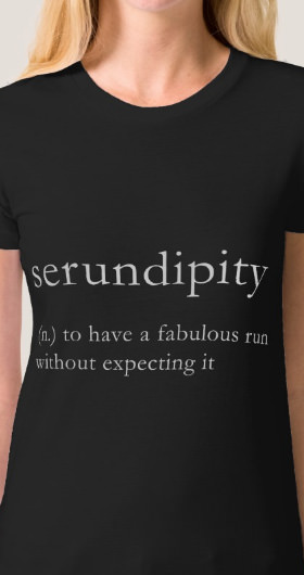 Serundipity Women's Shirt
