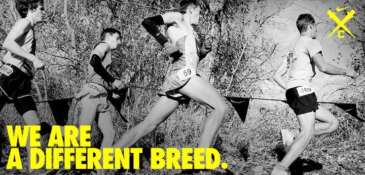 Runner Things #1595: We are a different breed.