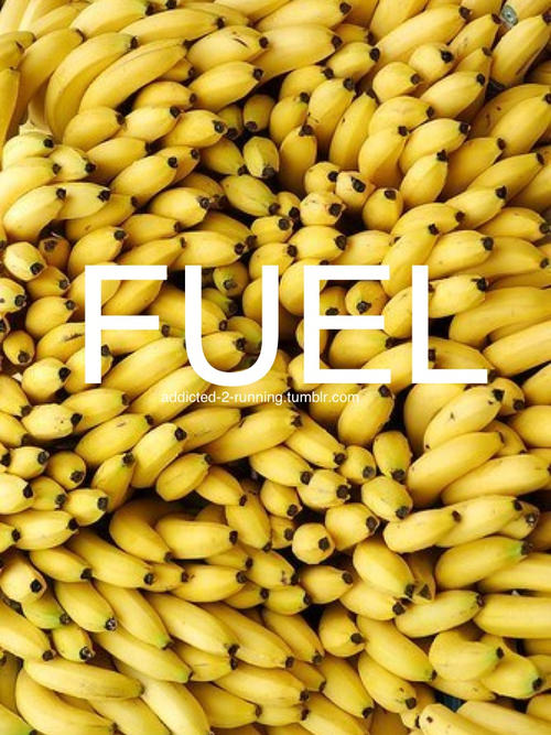 Runner Things #1615: Fuel.