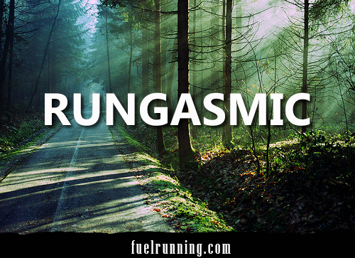 Runner Things #1816: Rungasmic.