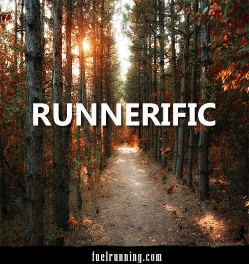 Runner Things #1917:  Runnerific.