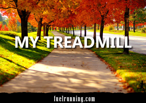 Runner Things #2009: My treadmill.