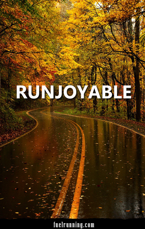 Runner Things #2029: Runjoyable.