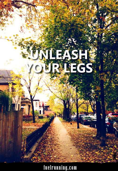 Runner Things #2066: Unleash your leg