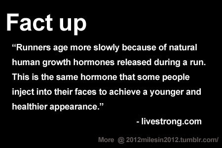 Runner Things #2068: Runners age more slowly because of natural human growth hormones during a run. This is the same hormone that some people inject into their faces to achieve a younger and healthier appearance.