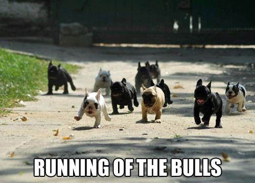 Runner Things #2081: Running of the Bulls