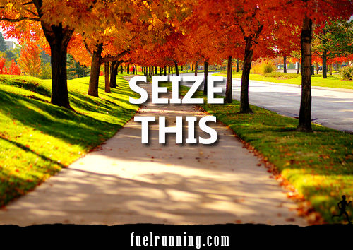 Runner Things #2132: Seize this