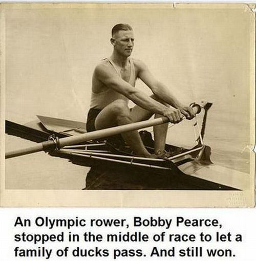 Runner Things #2285: An Olympic rower, Bobby Pearce, stopped in the  middle of a race to let a family of ducks pass. And still won.