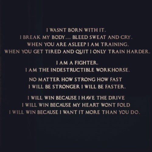 Runner Things #2289: I was born with it. I break my body, bleed sweat and cry. When you are asleep I am training. When you get tired and quit I only train harder. I am a fighter. I am the indestructible workhorse. No matter how strong, how fast, I will be stronger, I will be faster.