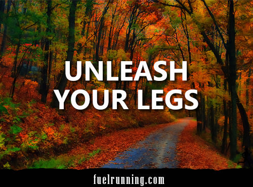 Runner Things #2356: Unleash Your Legs