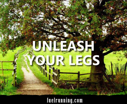 Runner Things #2488: Unleash Your Legs