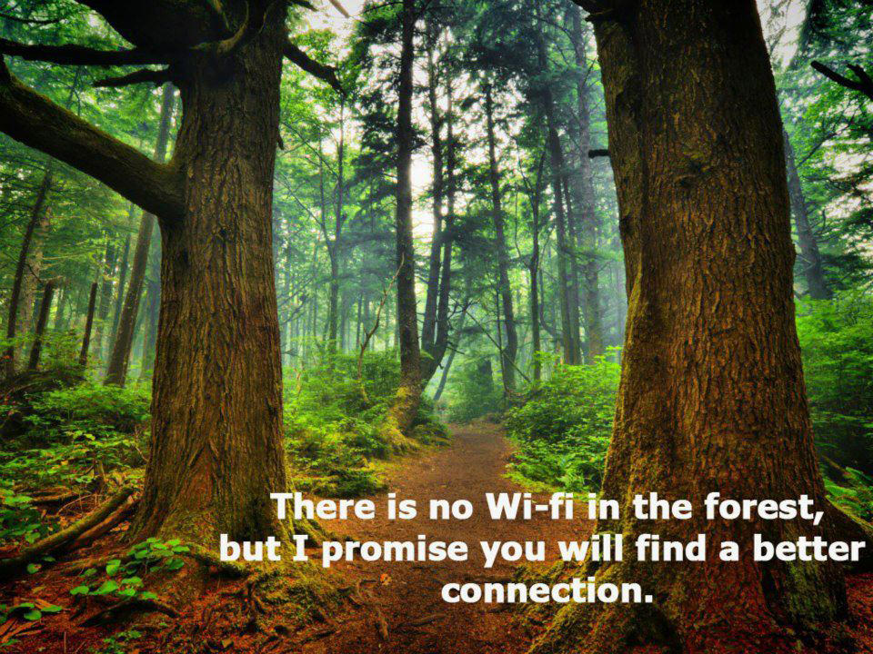 Runner Things #2523: There is no Wi-Fi in the forest, but I promise you will find a better connection.