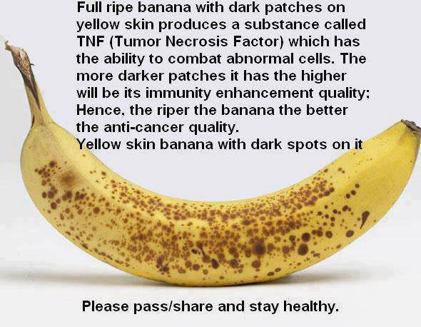 Runner Things #2558: Full ripe banana with dark patches on yellow skin produces a substance called THF (Tumor Necrosis Factor) which has the ability to combat abnormal cells. The more dark patches it has the higher will be its immunity enhancement quality. Hence, the riper the banana, the better the anti-cancer quality.