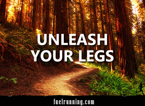Runner Things #2722: Unleash Your Legs