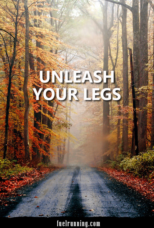 Runner Things #2773: Unleash Your Legs