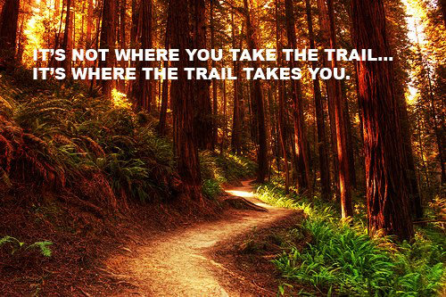 Runner Things #2796: It's not where you take the trail, it's where the trail takes you.