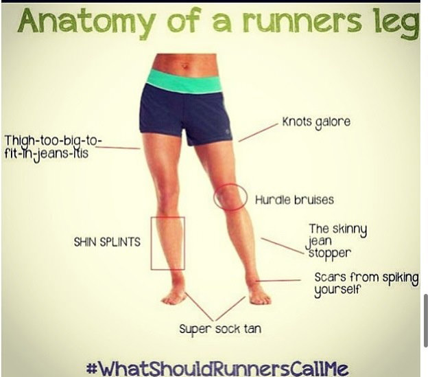 Runner Things #2798: Anatomy of a Runner's Leg - fb,running-humor