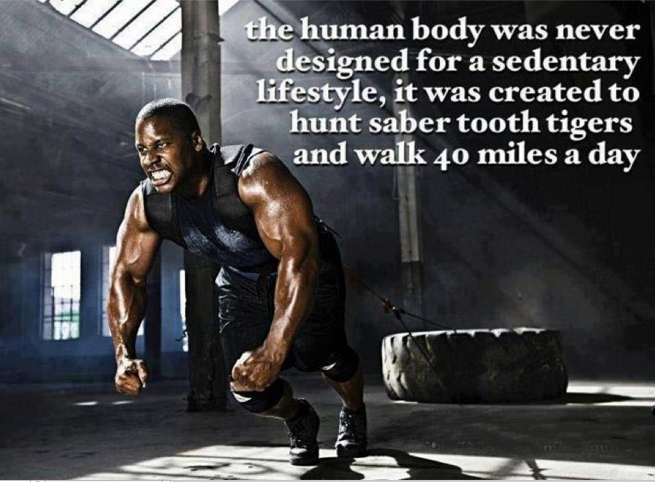 Runner Things #2799: The human body was never designed for a sedentary lifestyle, it was created to hunt saber tooth tigers and walk 40 miles a day. - fb,fitness