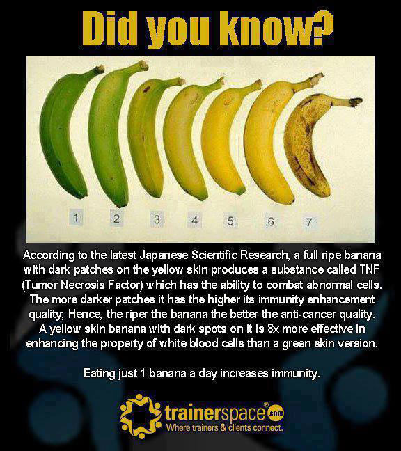 Runner Things #2800: Banana Facts