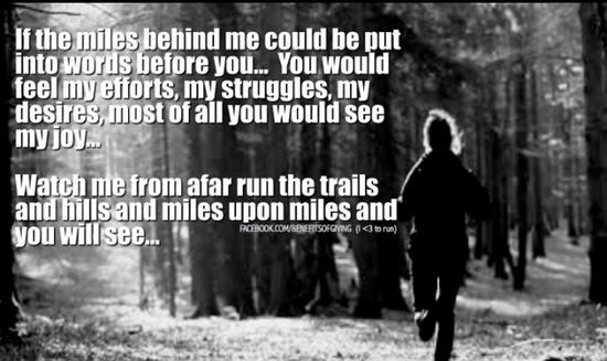 Runner Things #2867: If the miles behind me could be put into words before you, you would feel my efforts, my struggles, my desires, most of all you would see my joy. Watch me from afar run the trails and hills and miles upon miles and you will see.