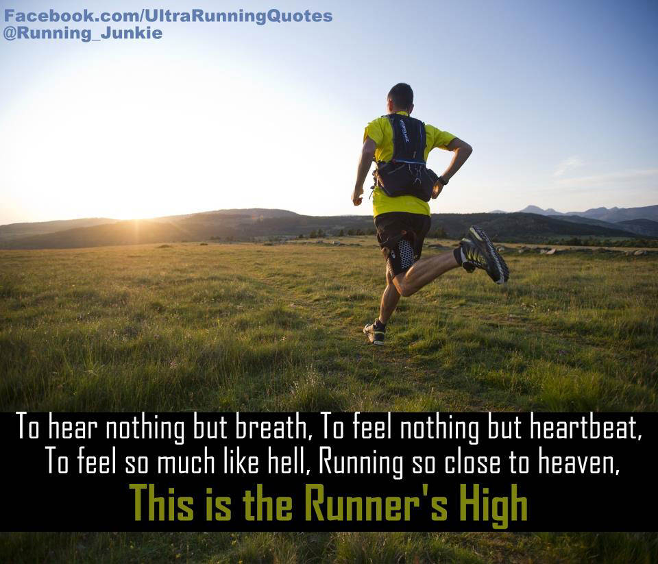 Runner Things #125: To hear nothing but breath. To feel nothing but heartbeat. TO feel as much like hell. Running close to heaven. This is the Runner's High. - fb,running