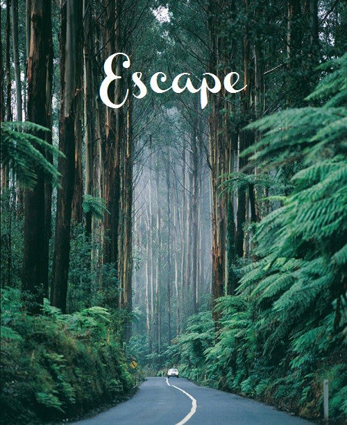 Runner Things #206: Escape