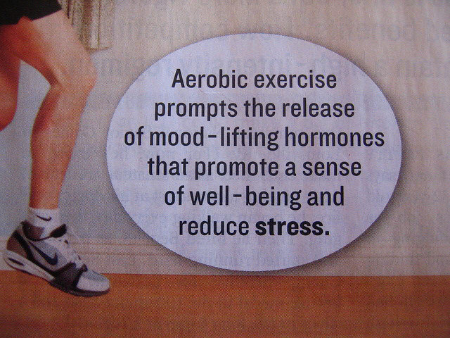 Runner Things #219: Aerobic exercise prompts the release of mood-lifting hormones that promote a sense of well-being and reduce stress.