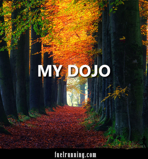 Runner Things #389: My Dojo