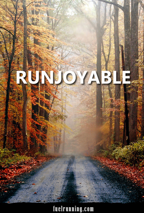 Runner Things #487: Runjoyable