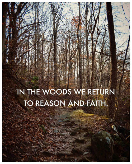 Runner Things #506: In the woods we return to reason and faith.