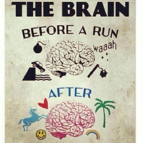 Running Humor #38: The brain before and after a run. - Unicorn and Rainbows.