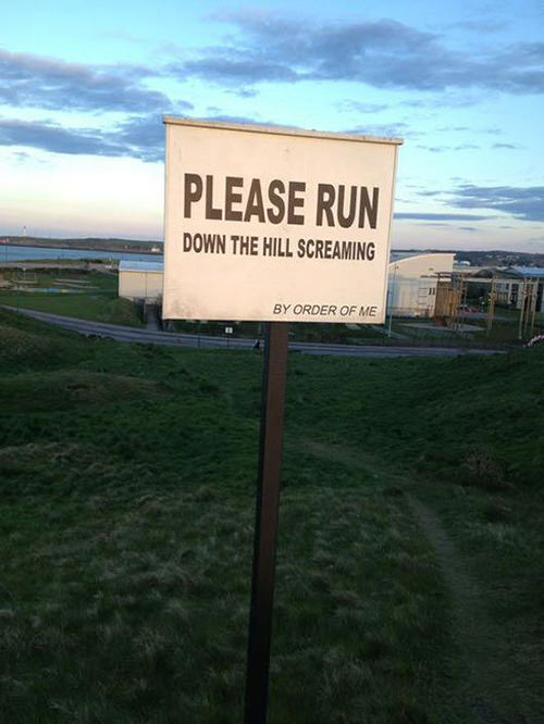 Running Matters #118: Please run down the hill screaming. By order of me.