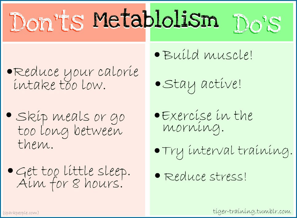 Fitness Stuff #216: Metabolism Do's and Don'ts