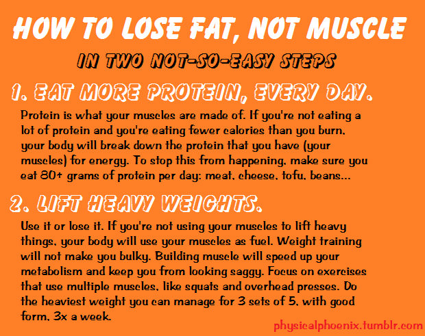 Fitness Stuff #250: How to lose fat, not muscle. - fb,fitness