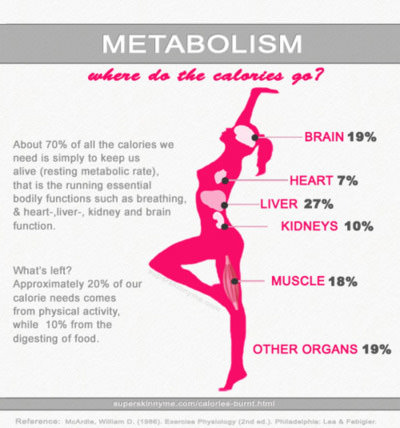 Fitness Stuff #255: Metabolism. Where do the calories go?