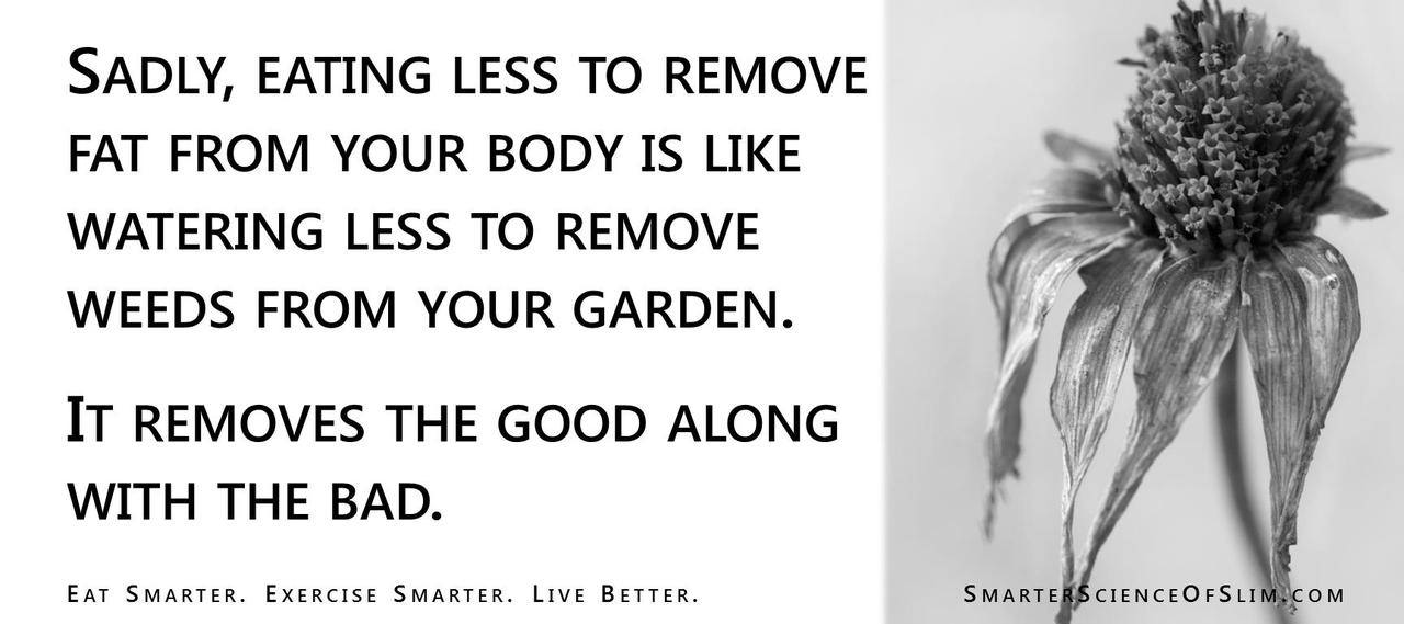 Fitness Stuff #324: Sadly, eating less to remove fat from your body is like watering less to remove weeds from your garden. It removes the good along with the bad.