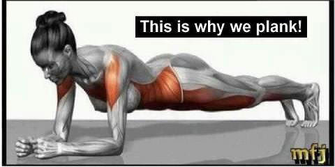 Fitness Stuff #348: This Is Why We Plank