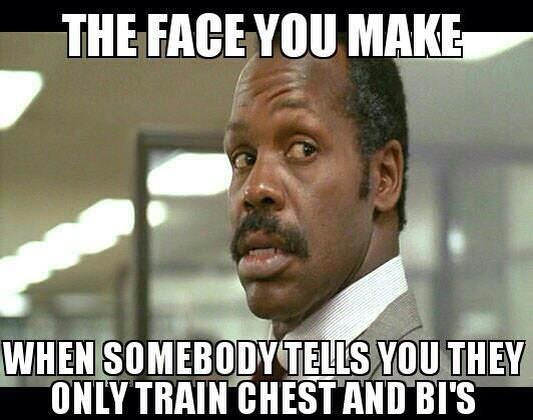 Fitness Stuff #435: The face you make when somebody tells you they only train chest and bi's. - fb,fitness